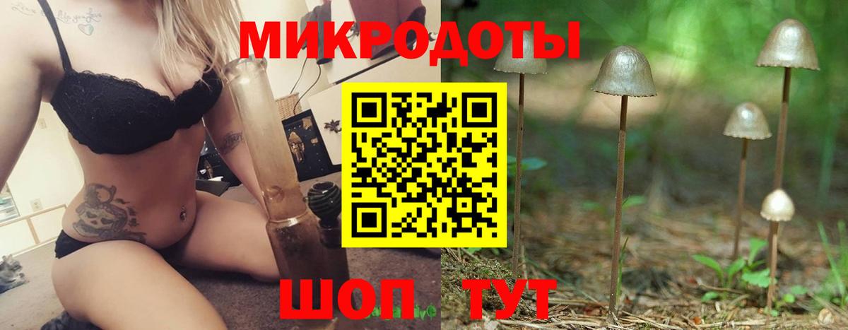 Псилоцибиновые грибы Psilocybine cubensis Полысаево